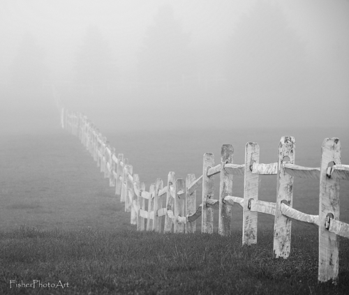 Fog fence